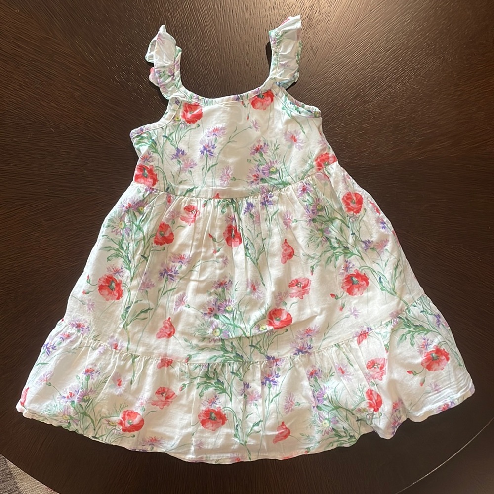 BabyGap Spring Floral Ruffle Dress